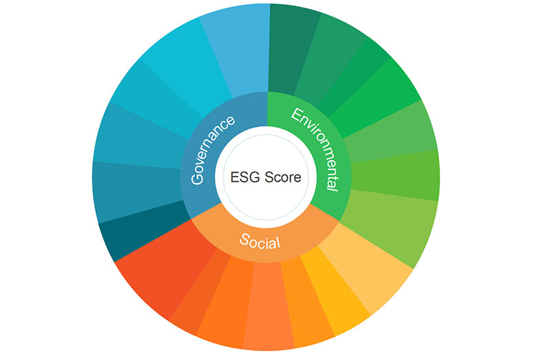 ESG-Scores