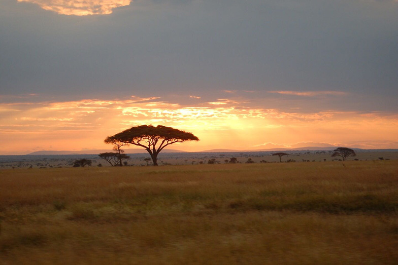 Bild: Manuel Weber, Landschaft  in Südafrika